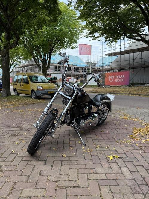 Harley Davidson FXSTC Softail Custom, Motoren, Motoren | Harley-Davidson, Particulier, Chopper, meer dan 35 kW, 2 cilinders, Ophalen