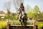 Leaser gezocht voor 2 paarden  in Doetinchem, Ophalen of Verzenden, Nieuw