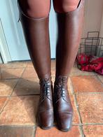 Petrie melbourne, Dieren en Toebehoren, Gebruikt, Overige soorten, Ophalen of Verzenden, Dames