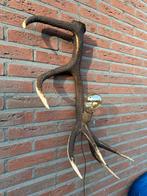 Geweienlamp.lamp.wandlamp.geweien.edelhert.damhert.brocante., Ophalen of Verzenden, Nieuw