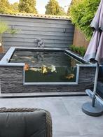 Complete japanse koivijver, Karper of Koi