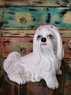 Hollywood Regency/Beeld/Malteser, Ophalen of Verzenden, Zo goed als nieuw, Dier