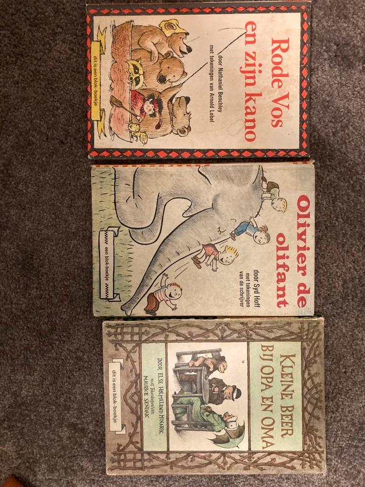 Blokjes boeken, Boeken, Kinderboeken | Kleuters, Gelezen, Fictie algemeen, Ophalen of Verzenden