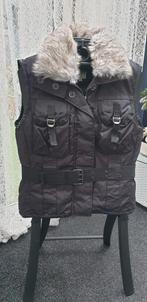 Dames bodywarmer maat M, Ophalen of Verzenden, Zo goed als nieuw, Maat 38/40 (M), Zwart