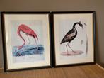 Vogel Prints - Set van 2, Ophalen of Verzenden