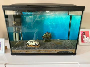 Aqaurium 100l beschikbaar voor biedingen