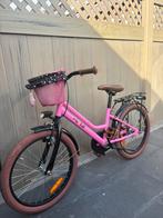 Kinderfiets, Fietsen en Brommers, Fietsen | Meisjes, Ophalen of Verzenden, Gebruikt, 20 inch, Flits