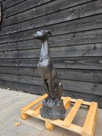 💥💥 Brons: XL Windhond, Tuin en Terras, -, -, Ophalen of Verzenden, Dierenbeeld