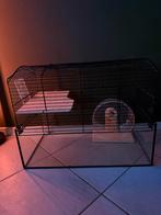 Mooie hamsterkooi, Dieren en Toebehoren, Knaagdieren en Konijnen | Hokken en Kooien, Ophalen