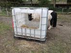 Hooibak, IBC vat, slowfeeder, voerbak, Ophalen, Zo goed als nieuw, Overige soorten