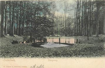 (387-251-019) Oosterbeek Oorsprong beschikbaar voor biedingen
