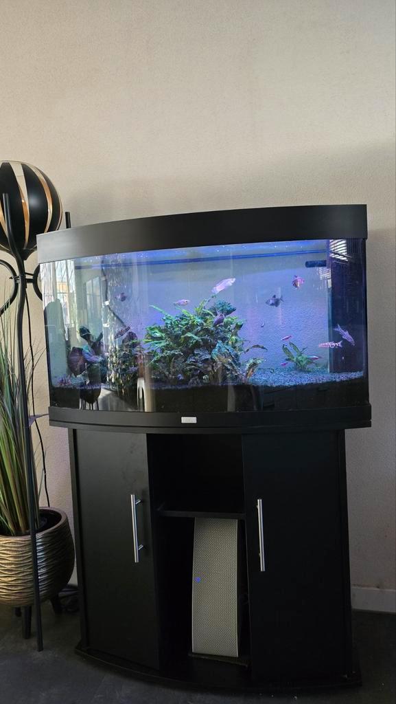 Juwel Vision 180, Dieren en Toebehoren, Vissen | Aquaria en Toebehoren, Zo goed als nieuw, Leeg aquarium, Ophalen