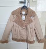 H&M Beige Teddy Winterjas - Nieuw!, Kleding | Dames, Jassen | Winter, H&M, Beige, Nieuw, Ophalen of Verzenden