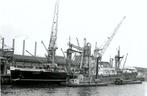 Scheepvaart, Verzamelen, Scheepvaart, Verzenden, Nieuw, Motorboot, Kaart, Foto of Prent