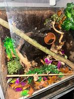 Terrarium, Dieren en Toebehoren, Reptielen en Amfibieën | Toebehoren, Ophalen, Zo goed als nieuw