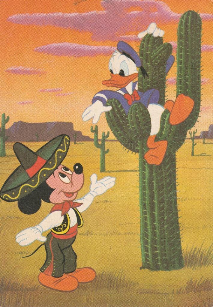 DONALD DUCK JAREN 60 ZEER MOOI OUDE KAART KH543, Verzamelen, Ansichtkaarten | Themakaarten, Gelopen, 1960 tot 1980, Sterren en Beroemdheden
