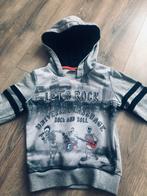 Hoodie/trui maat 104/110, Kinderen en Baby's, Kinderkleding | Maat 110, Ophalen of Verzenden, Zo goed als nieuw, Jongen, Trui of Vest