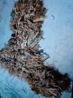 Ghillie suit, Verzamelen, Ophalen of Verzenden, Landmacht, Nederland