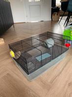 Hamsterkooi voor dwerghamster, Dieren en Toebehoren, Knaagdieren en Konijnen | Hokken en Kooien, Kooi, Minder dan 75 cm, Zo goed als nieuw