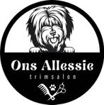 Trimsalon voor grote honden, Dieren en Toebehoren, Ophalen of Verzenden