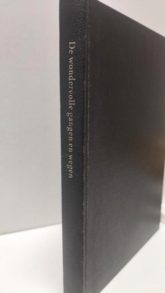 Kieboom, J.W.; De wondervolle gangen en wegen, Boeken, Godsdienst en Theologie, Gelezen, Christendom | Protestants, Ophalen of Verzenden