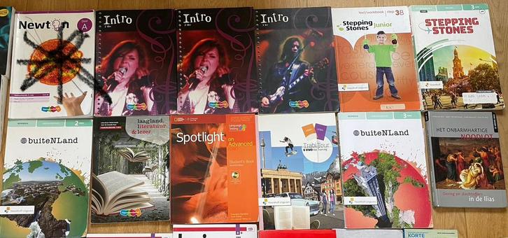 Buitenland woordenboek Stepping Stones disco intro spotlight, Boeken, Schoolboeken, Ophalen of Verzenden