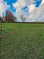 Weidegrond, bosgrond gezocht omgeving Neede te koop gevraagd