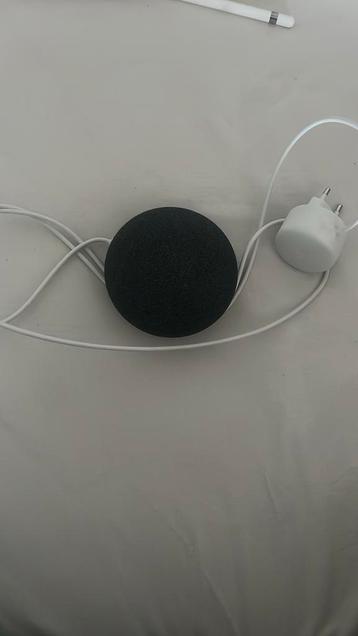 Google nest mini beschikbaar voor biedingen