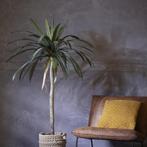 Partij Kunstplant Agave Op Stam 180cm, Huis en Inrichting, Woonaccessoires | Kunstplanten en Kunstbloemen, Ophalen of Verzenden