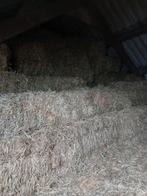 Hooipakjes 25 kg, Dieren en Toebehoren, Juni, Meerdere dieren