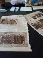 Artikel  Chicorei De Beukelaer Wereldtentoonstelling 1930, Verzamelen, Tijdschriften, Kranten en Knipsels, Ophalen of Verzenden