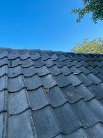 Gezocht hulp dakdekker  beschikbaar voor biedingen