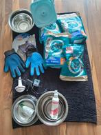 Te koop, Dieren en Toebehoren, Verzenden, Kat