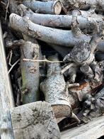 Perenboom Haardhout - 40 Kratten, Tuin en Terras, Minder dan 3 m³, Ophalen of Verzenden, Overige houtsoorten, Takken