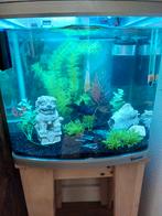 Aquarium en toebehoren, Dieren en Toebehoren, Ophalen of Verzenden, Zo goed als nieuw, Leeg aquarium
