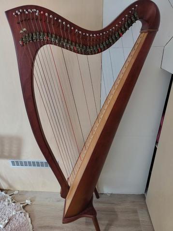 Lutgerink/ van Loo harp 34 snaren beschikbaar voor biedingen