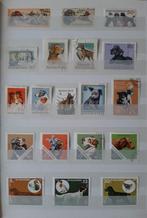 3 Kaarten Postzegels Mooiste Honden No. 1 Gestempeld, Postzegels en Munten, Postzegels | Thematische zegels, Dier of Natuur, Ophalen