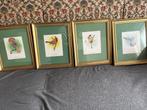 Schilderijtjes met vogels, Ophalen, Minder dan 50 cm, Zo goed als nieuw, Minder dan 50 cm