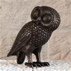 Beeld: Vogels - IJsvogel - Toekan - Uil - IJsvogel, Nieuw