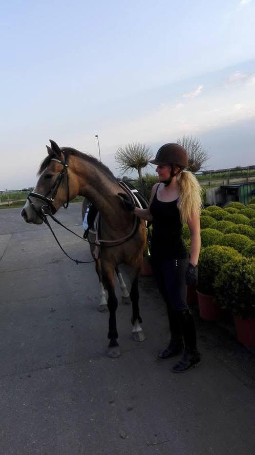 Bijrijdster aangeboden. Ervaren, betrouwbaar en beschikbaar!, Dieren en Toebehoren, Paarden en Pony's | Verzorgingsproducten, Ophalen of Verzenden