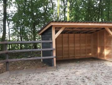 Weidegang / stal / weiland / padock paradise gezocht beschikbaar voor biedingen