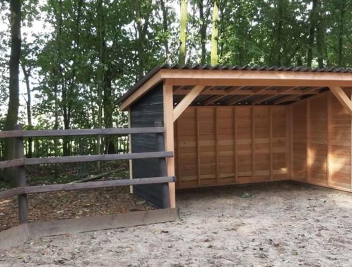 Weidegang / stal / weiland / padock paradise gezocht, Dieren en Toebehoren, Stalling en Weidegang, Stalling, Weidegang, 1 paard of pony