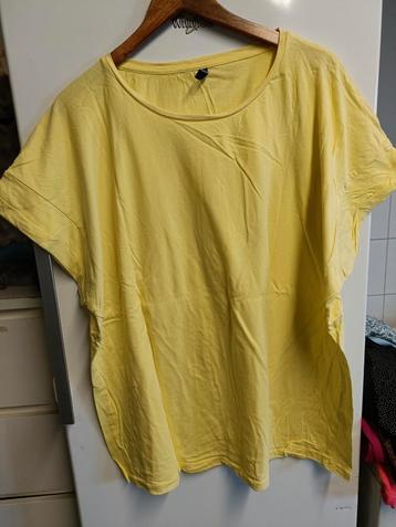 T-shirt Ladies+ beschikbaar voor biedingen