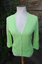 Vestje lime Marccain mt N3 (M/38) vaste prijs, Kleding | Dames, Truien en Vesten, Maat 38/40 (M), Ophalen of Verzenden, Zo goed als nieuw