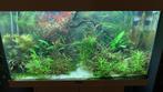 Juwel rio 125 wit compleet, Dieren en Toebehoren, Vissen | Aquaria en Toebehoren, Ophalen, Gebruikt, Leeg aquarium