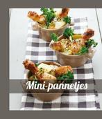 Mini-pannetjes - Aram van Beek, Boeken, Verzenden, Zo goed als nieuw