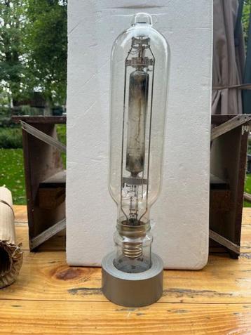 curiosa beschikbaar voor biedingen