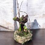 Decoratieve bloembollen in mand, Ophalen, Binnen, Nieuw, Nvt