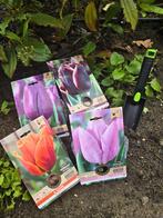 Bloembollen Tulipa mix - 28 bollen - Met schepje, Verzenden, Najaar, Halfschaduw, Bloembol