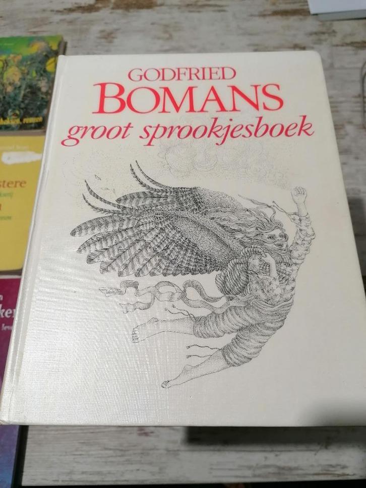 pentekeningen Wouter Hoogendijk Groot 50 sprookjesboek MOOI!, Boeken, Overige Boeken, Zo goed als nieuw, Ophalen of Verzenden